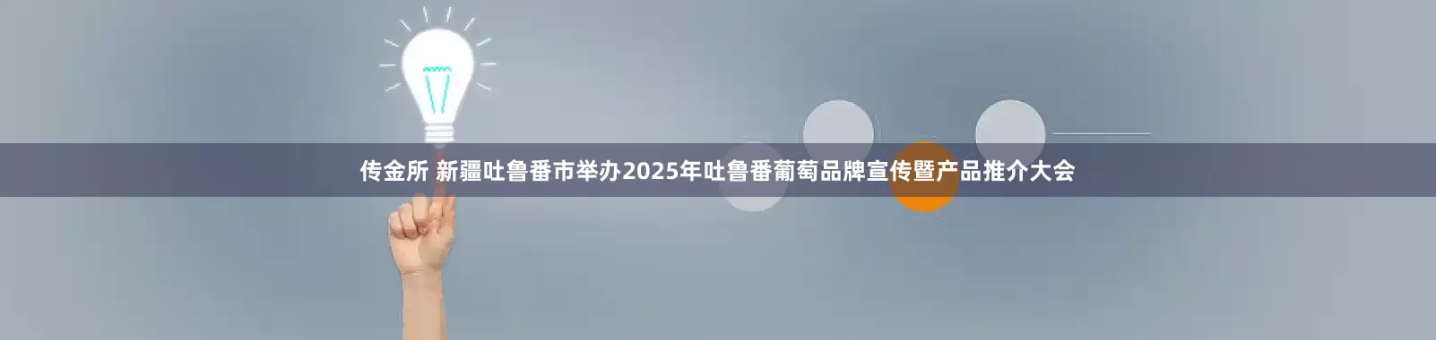 传金所 新疆吐鲁番市举办2025年吐鲁番葡萄品牌宣传暨产品推介大会