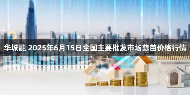 华城融 2025年6月15日全国主要批发市场蒜苗价格行情